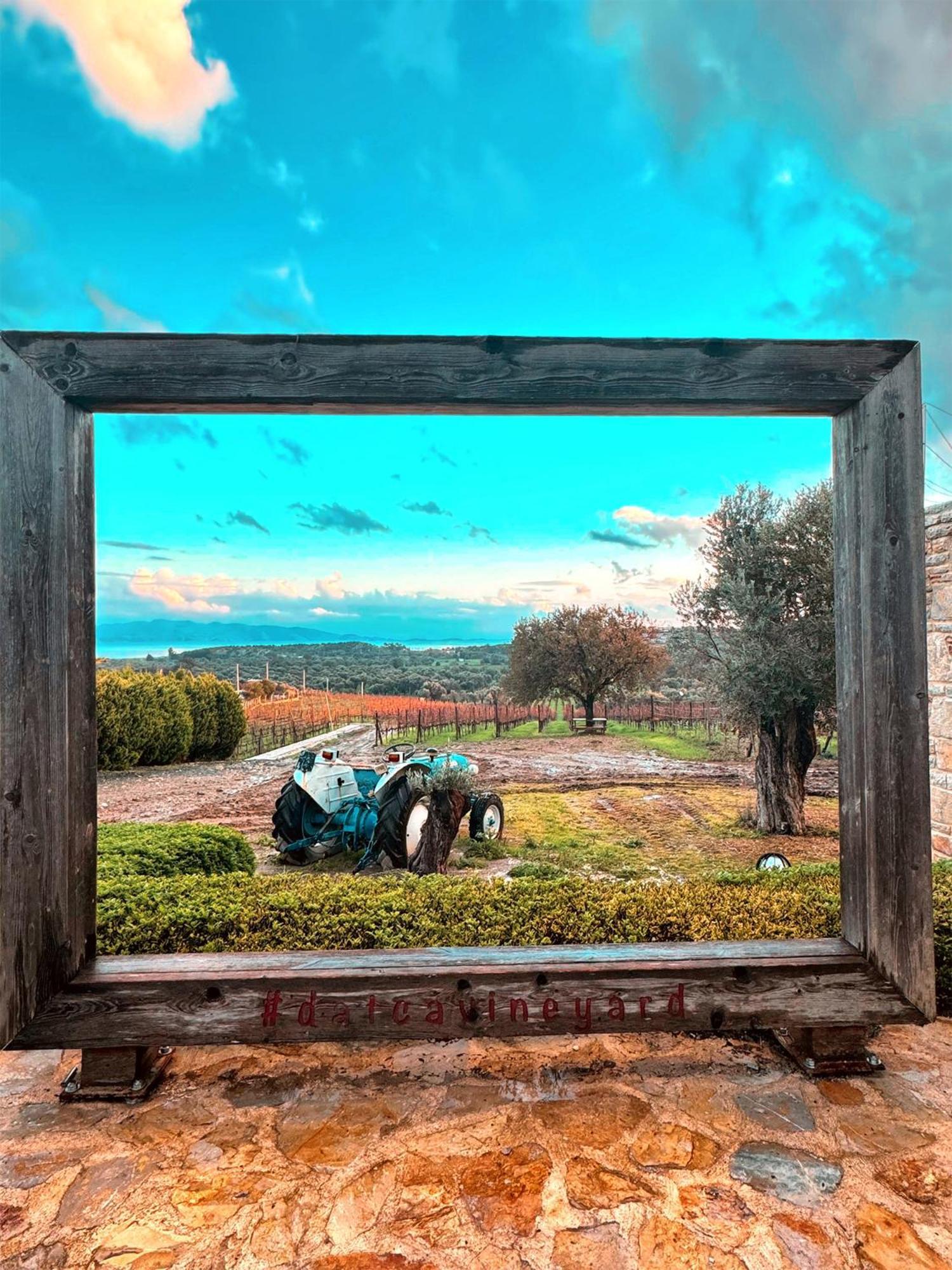Datca Vineyard Guesthouse Luaran gambar