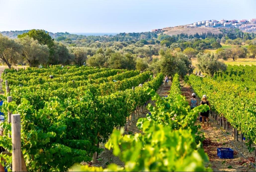 Datca Vineyard Guesthouse Luaran gambar