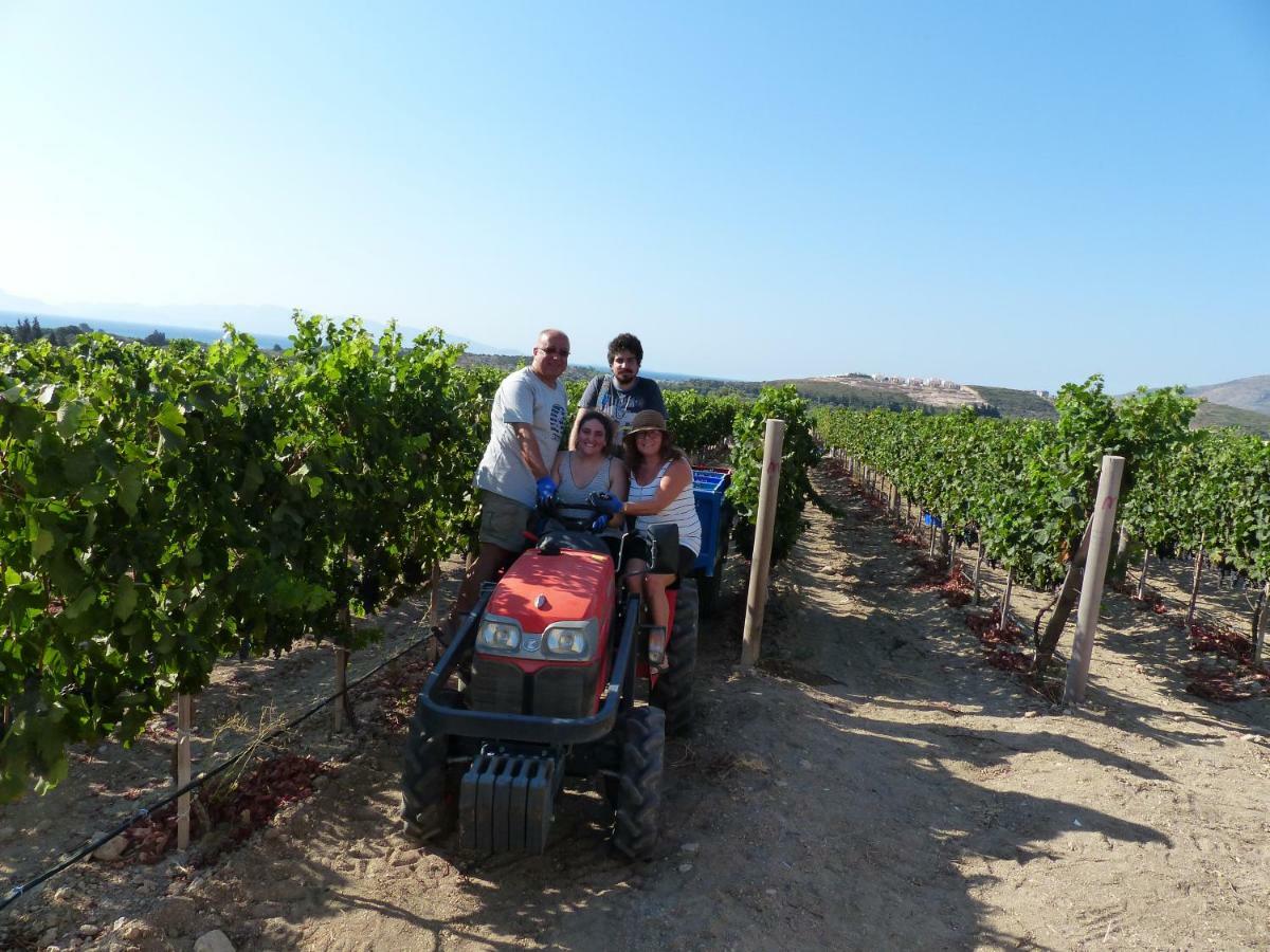 Datca Vineyard Guesthouse Luaran gambar